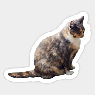 Tabby Cat in Shades of Brown Sticker